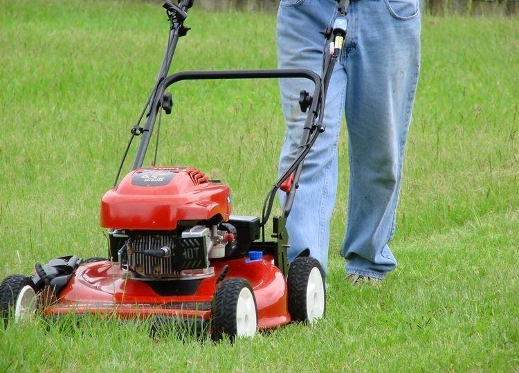 A lawnmower emits a high noise level (96dB) so you need protection