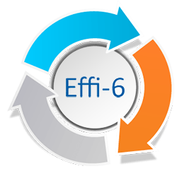 Effi‐6 total guarantee